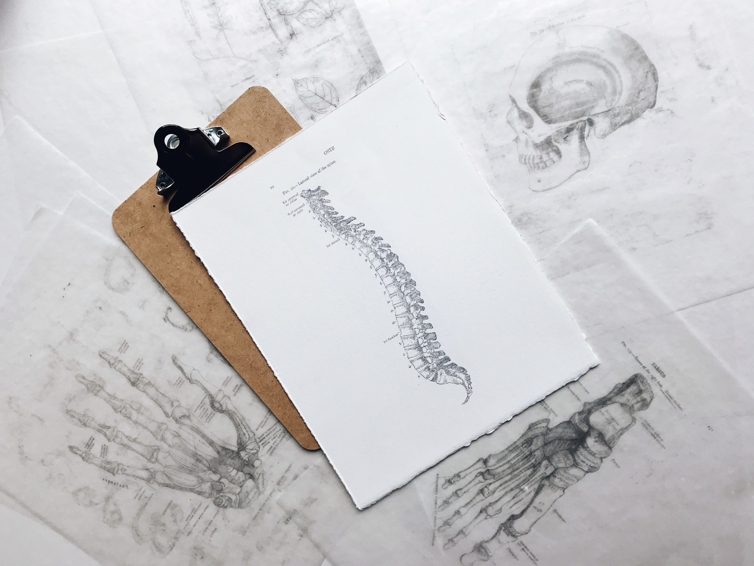 Hope For Brain And Spinal Cord Repair