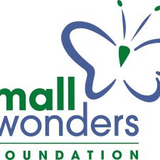 The Small Wonders Foundation and Pediatric Surgery