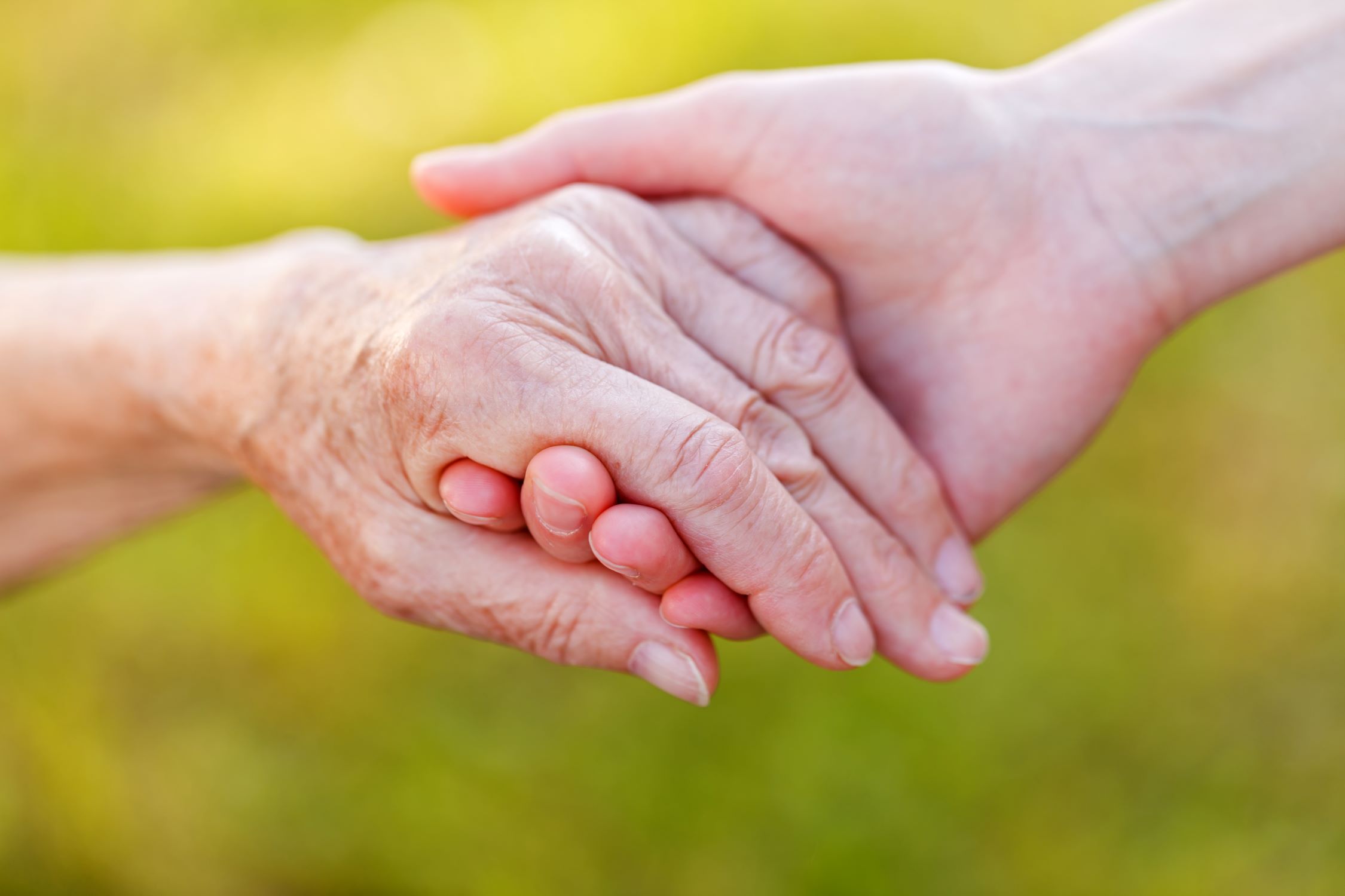 Palliative Care And Hospice Care