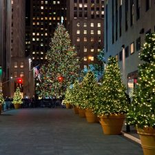 Nest Scent For The Holidays in NYC