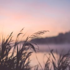 The McDonald's Massacre: Trauma And Recovery